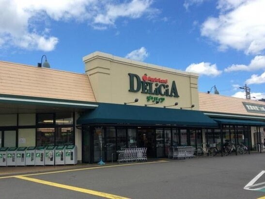 その他　デリシア（その他）まで1100m