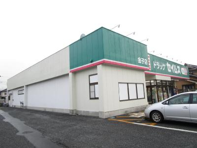 ドラックストア　ドラッグセイムス 金子店（ドラッグストア）まで1495m