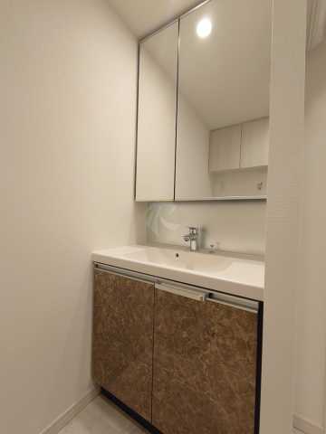 洗面設備　DeLCCS IKEBUKURO