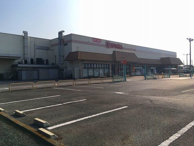 スーパー　とりせん（スーパー）まで1100m