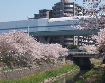 公園　秋ケ瀬緑道（公園）まで646m