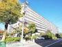 大倉山ハイム１号棟 8階 築53年1ヶ月の賃貸物件