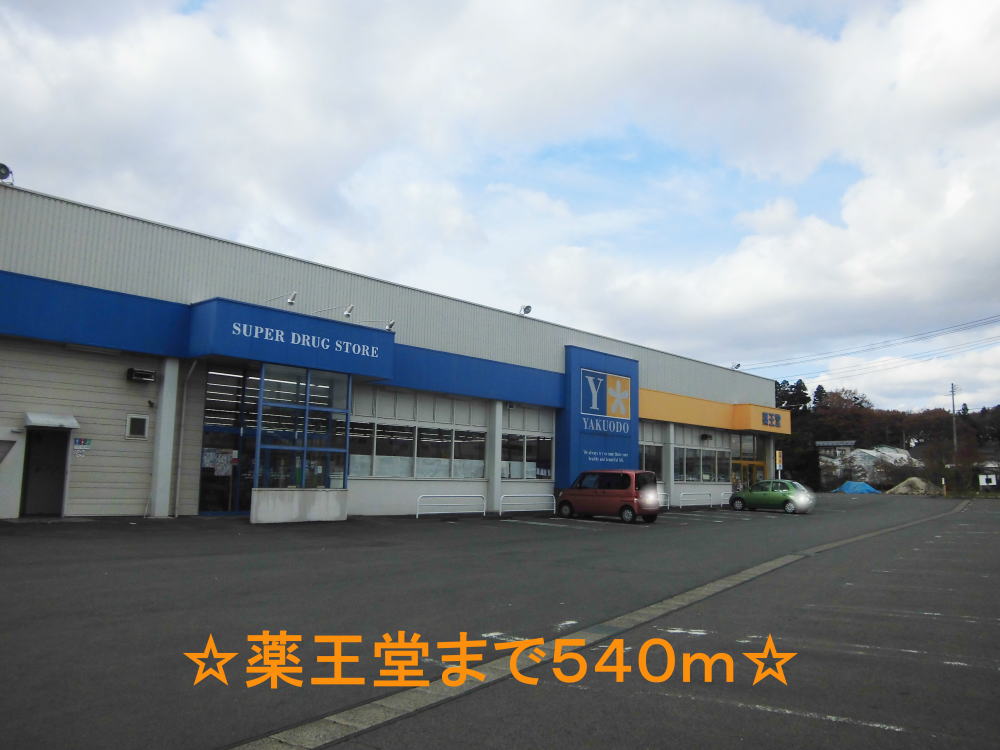 ドラックストア　薬王堂（ドラッグストア）まで540m