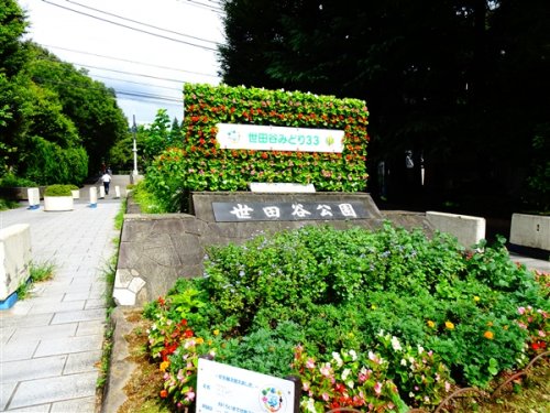 その他　【その他】世田谷公園まで657ｍ