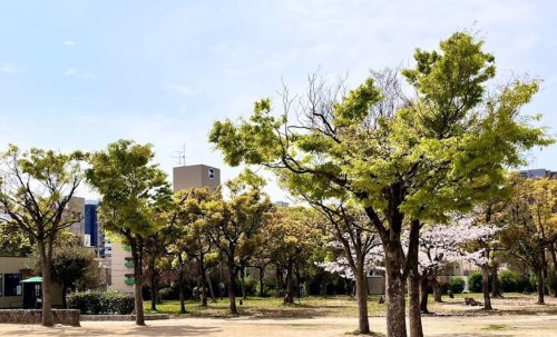 公園　大和公園（公園）まで515m