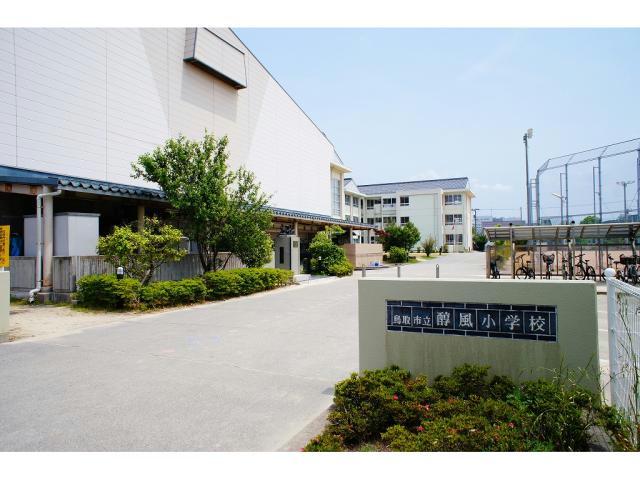 小学校　鳥取市立醇風小学校（小学校）まで634m