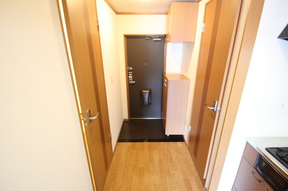 玄関　※別部屋の写真です