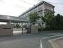 中学校　葛飾区立一之台中学校（中学校）まで481m