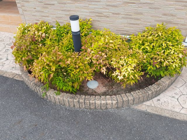 庭