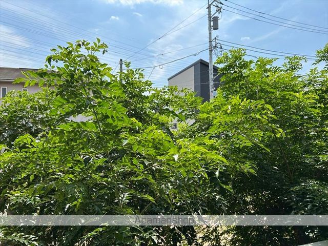 眺望　眺望
