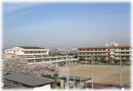 中学校　さいたま市立大砂土中学校（中学校）まで364m