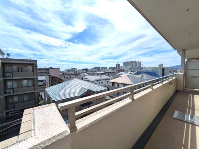 リコリスのその他写真
