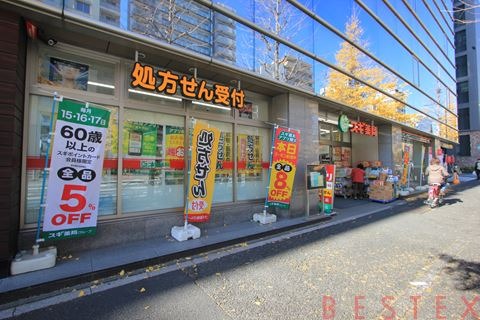 ドラックストア　スギ薬局白山通り店（ドラッグストア）まで537m