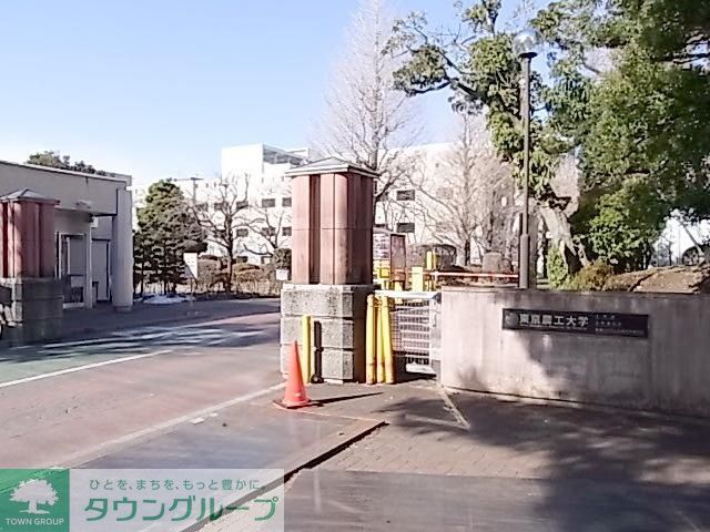 その他　東京農工大学（その他）まで1100m