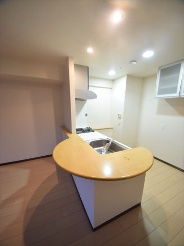 キッチン　セレッソコート上本町ＥＡＳＴ　2口ガスシステムキッチン