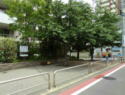 公園　中六桜広場（公園）まで558m