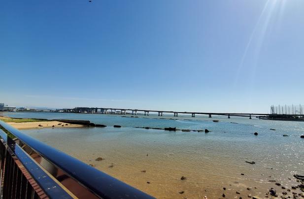 公園　甲子園浜海浜公園（公園）まで1336m