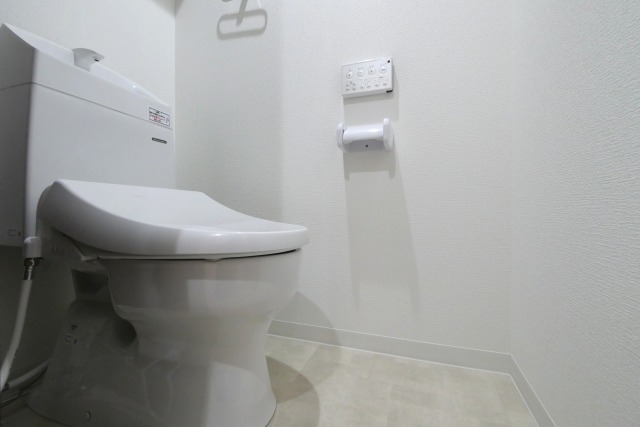 トイレ　落ち着いた色調のトイレです