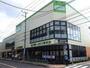 スーパー　コープ中野鷺宮店（スーパー）まで892m