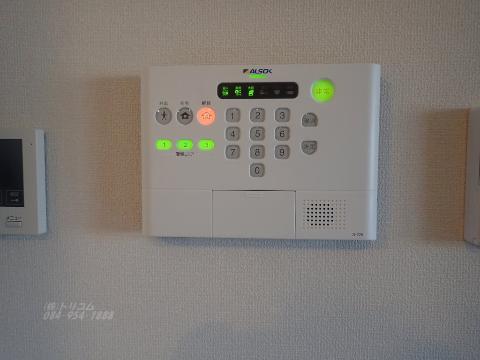 シュシュのその他写真