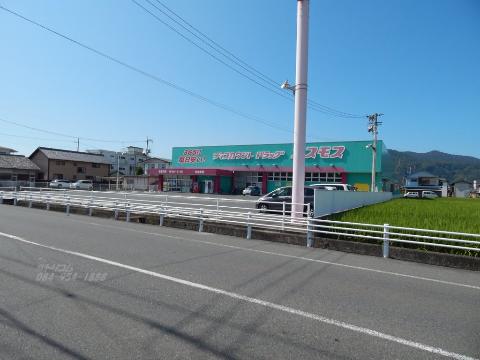 シュシュの周辺写真