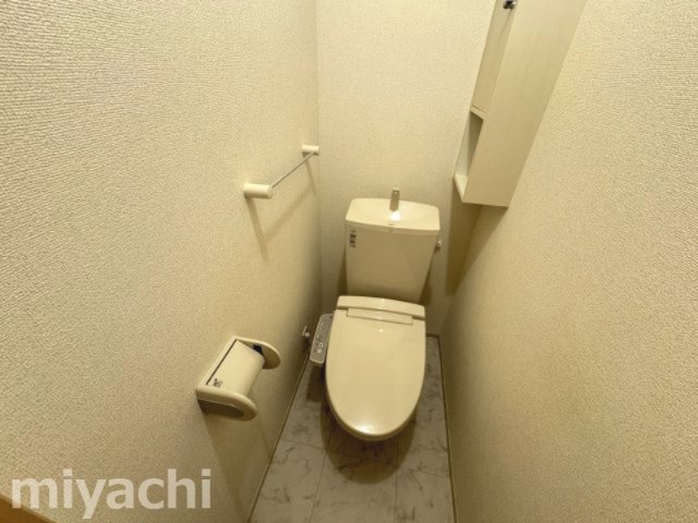 ＪＲ高徳線 吉成駅 徒歩45分 2階建 築9年のトイレ写真