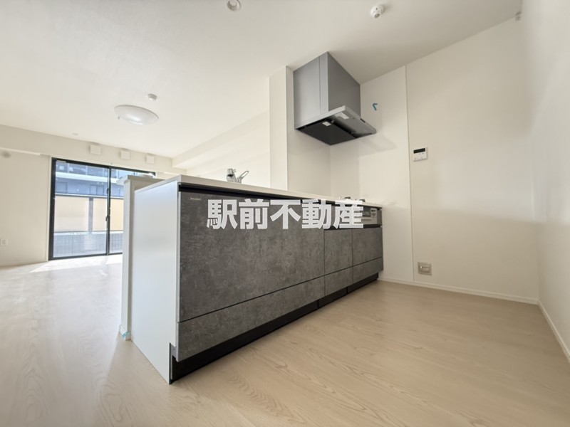ＪＲ鹿児島本線 久留米駅 徒歩20分 5階建 築1年のキッチン写真