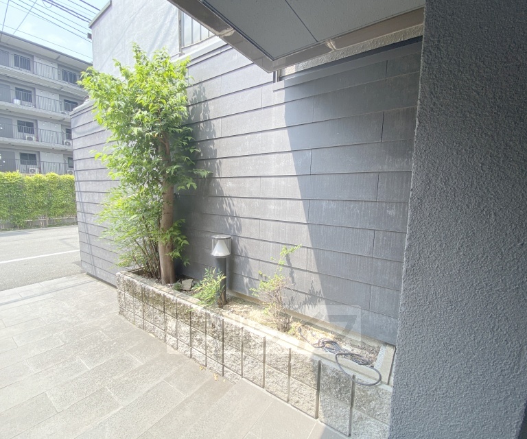 庭