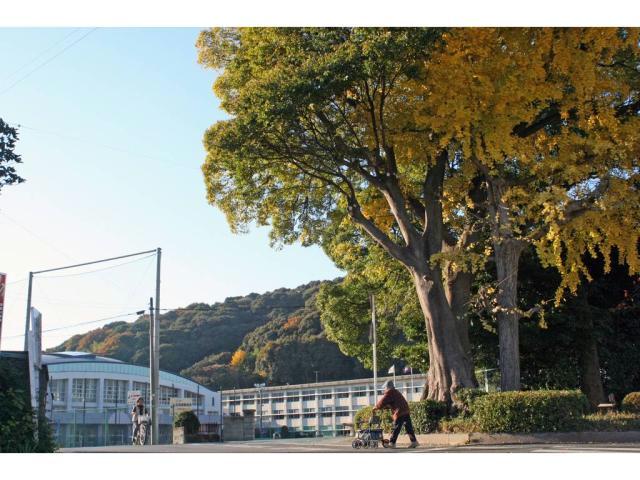 小学校　豊川市立御津南部小学校（小学校）まで506m