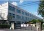 小学校　福生市立福生第三小学校（小学校）まで331m
