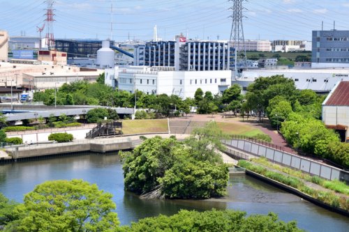 公園　舟渡公園（公園）まで1279m