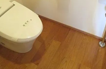 トイレ　ホライズンプレイス赤坂（別部屋参考画像）