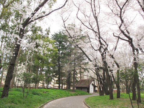 【北区滝野川のアパートの公園】