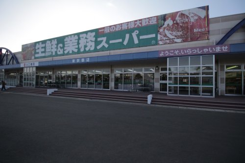 スーパー　業務スーパー 新宗像店（スーパー）まで257m