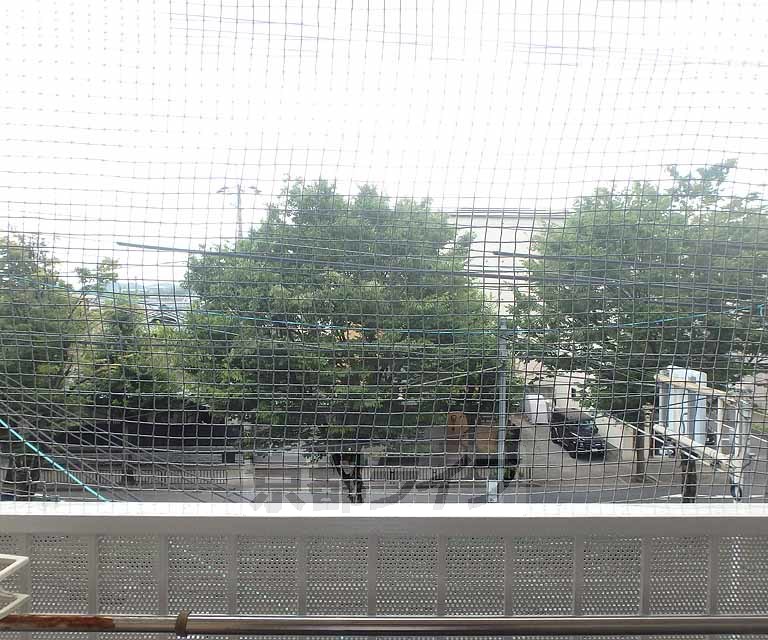 眺望　室外風景です。