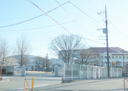 大学・短大　白鴎大学 大行寺キャンパス（大学・短大）まで1321m