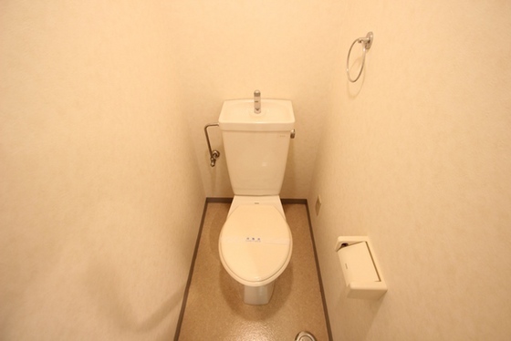 トイレ　※別号室の写真です