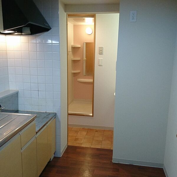 その他　写真反転タイプ