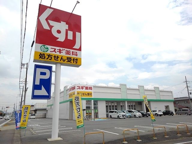 ドラックストア　スギ薬局（ドラッグストア）まで300m