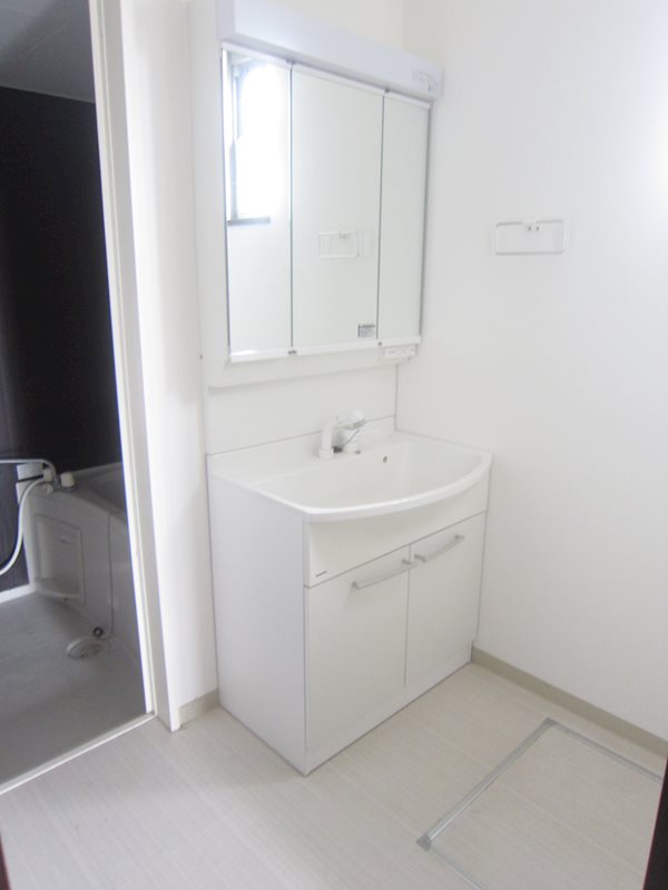 洗面設備　お掃除にも便利なシャワードレッサー