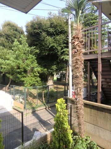 眺望　雰囲気のある景色