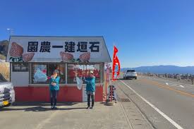 その他　久能海岸石垣いちご狩り（その他）まで551m