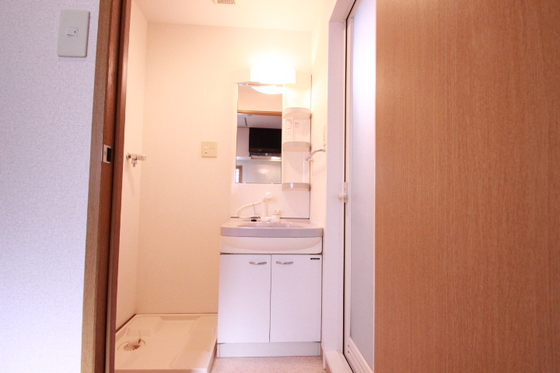 洗面設備　※別号室の写真です