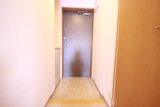 玄関　※別号室の写真です