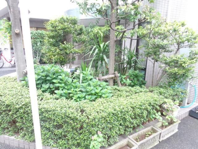 庭　植栽