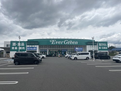 ドラックストア　エバーグリーン岸和田久米田店（ドラッグストア）まで721m