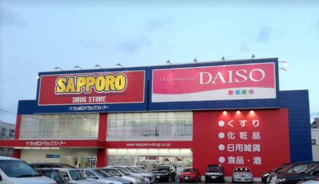 ホームセンター　ザ・ダイソー札幌南11条店（ホームセンター）まで732m