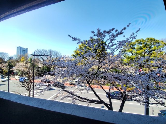 眺望　眺望