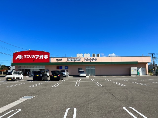 ドラックストア　クスリのアオキ 大潟店（ドラッグストア）まで1209m