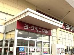 スーパー　ヨークベニマル新田東２丁目店（スーパー）まで700m